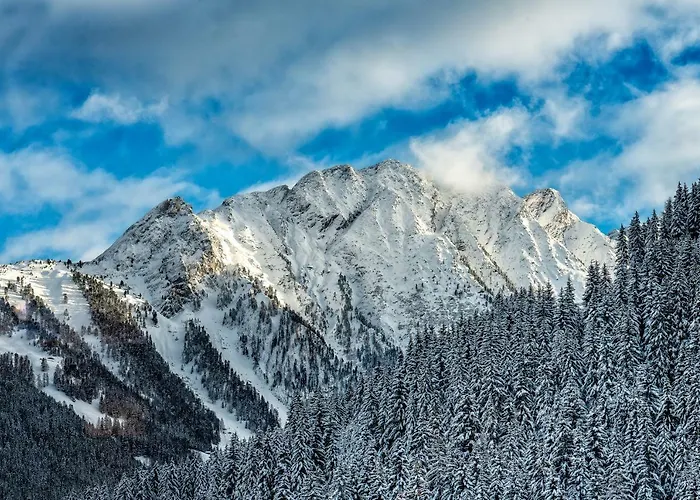 Apartment Sruh Prime